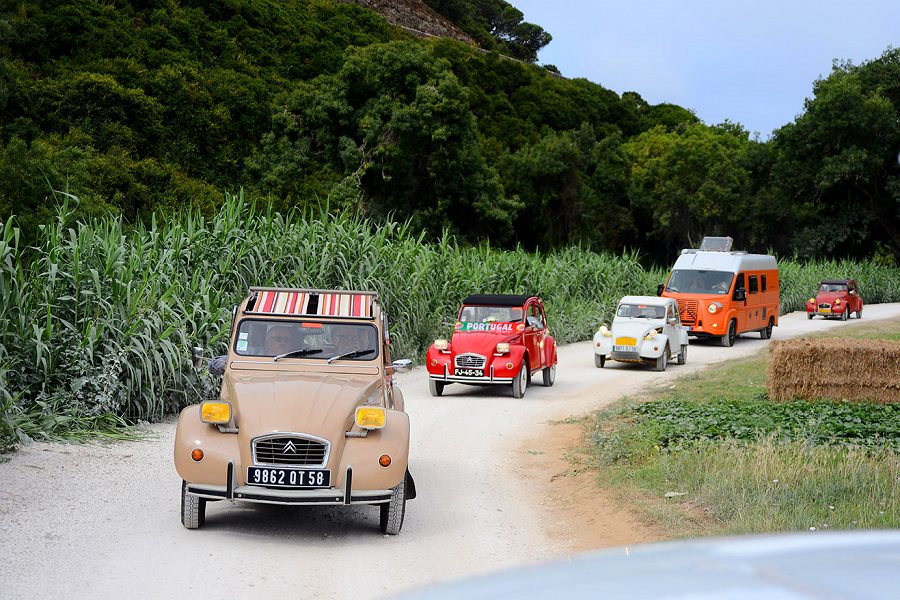 Desfile de Citroën 2CV numa estrada rural