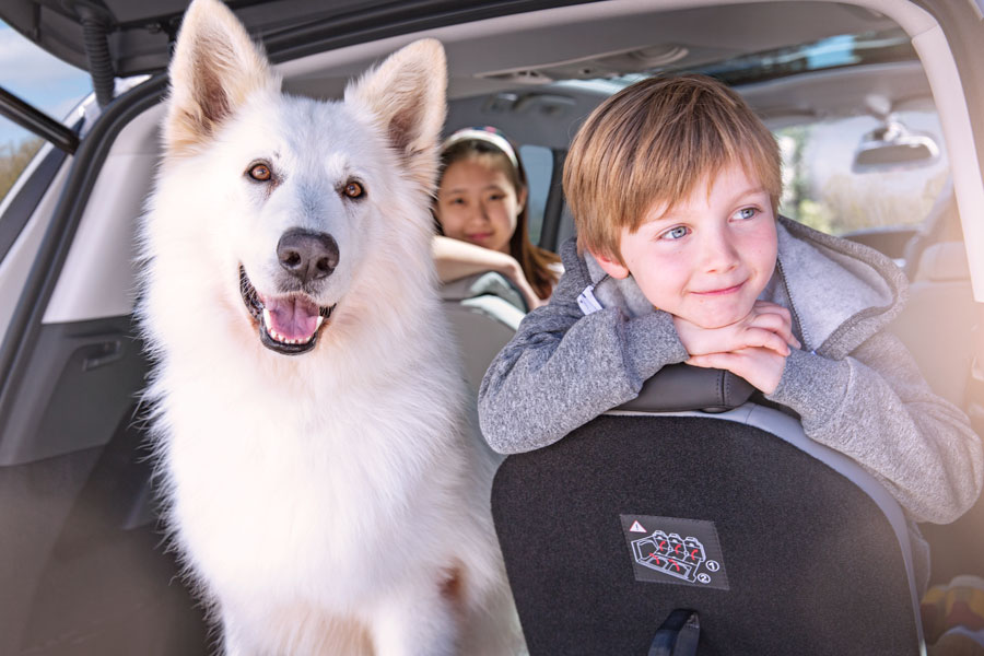 Crianças e cão no interior do carro