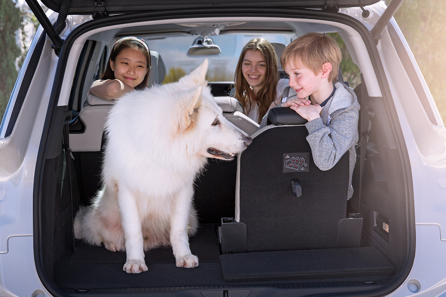 Três crianças com o cão dentro do carro
