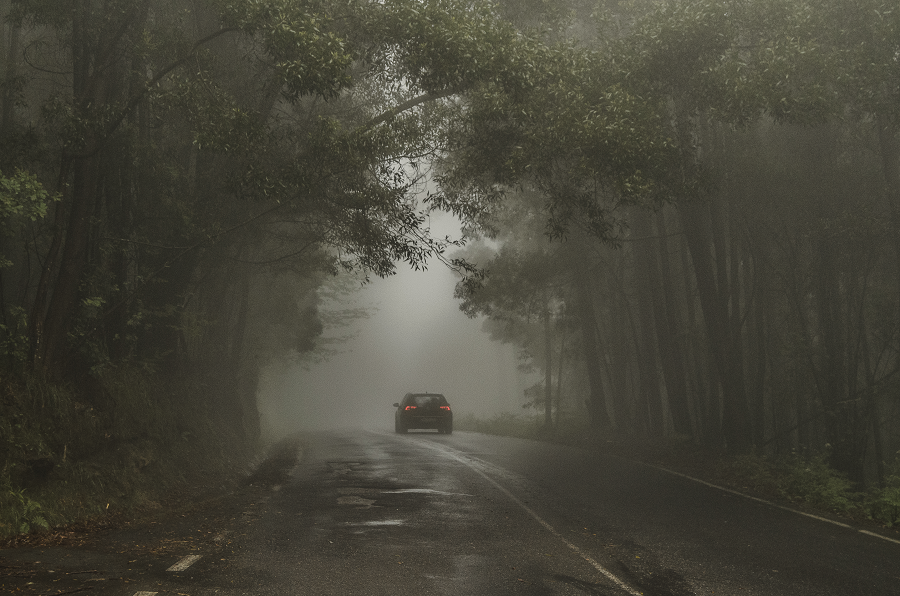 Carro em estrada num dia de nevoeiro