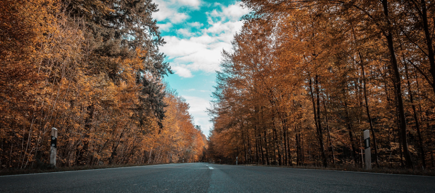 Estrada com árvores no Outono nas bermas