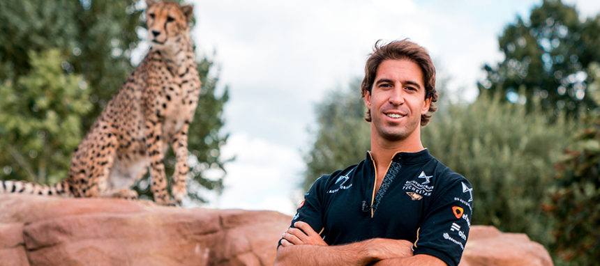 António Félix da Costa na equipa DS TECHEETAH