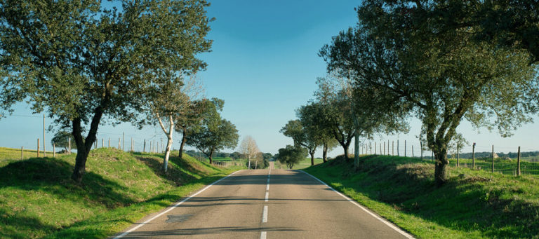 Estrada Nacional 2: conheça a “Route 66” de Portugal