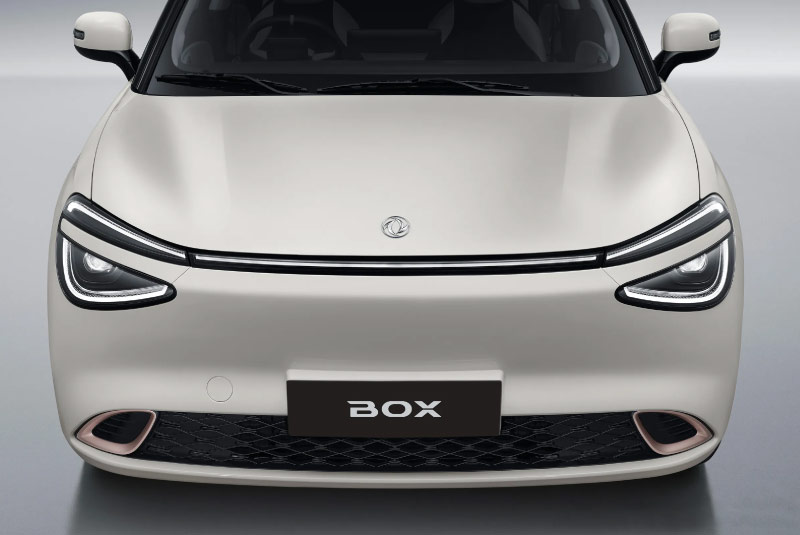 Grelha frontal do Novo Dongfeng Box