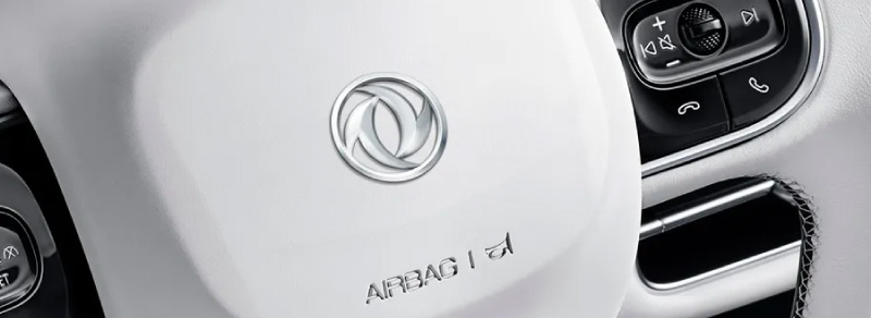 Logótipo do Novo Dongfeng Box
