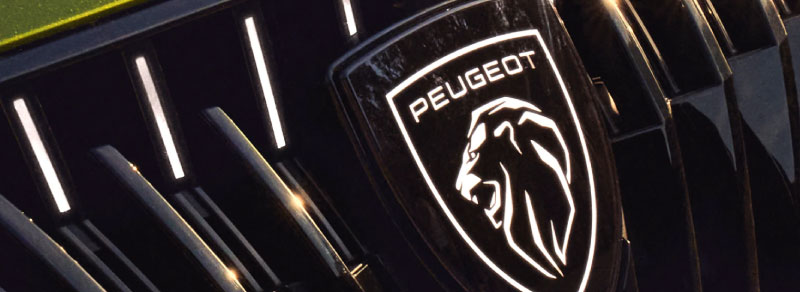 Emblema frontal iluminado